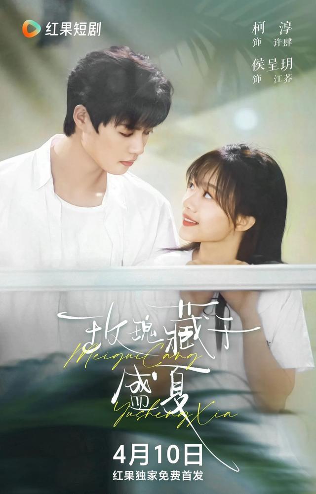 《玫瑰藏于盛夏》主演柯淳、侯呈玥
