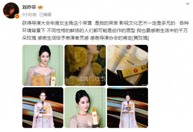 刘亦菲领奖现场