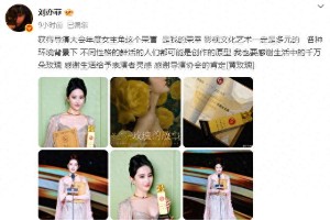 刘亦菲《玫瑰的故事》斩获2025导演大会年度女主角奖
