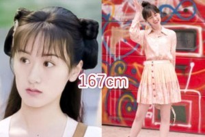 《琉璃》演员身高揭秘：袁冰妍167cm，成毅181cm