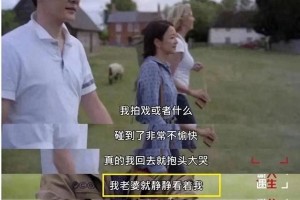 林更新恋情曝光引赵丽颖冯绍峰离婚内幕
