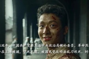 张晚意：从正剧到古偶的转型挑战与演技分析