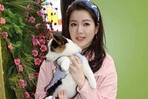 苟芸慧宣布离婚全面复出，豪门婚姻内幕曝光