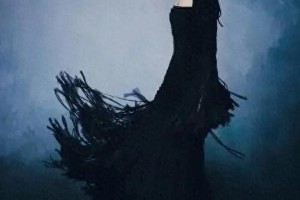 张婧仪华表奖黑裙惊艳 骨相美封神热搜