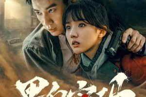 《黑白密码》：王子奇卧底犯罪集团，悬疑情感交织