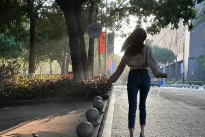 精彩图片展示：精选四张视觉盛宴