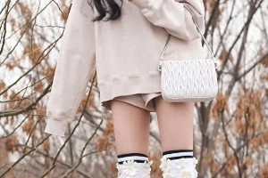 精选图片集锦：视觉盛宴一览